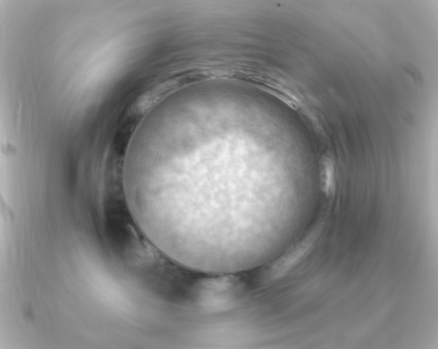 X0000091230431200708091421
