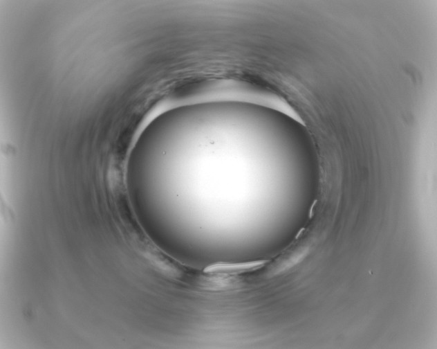 X0000091230432200708091421