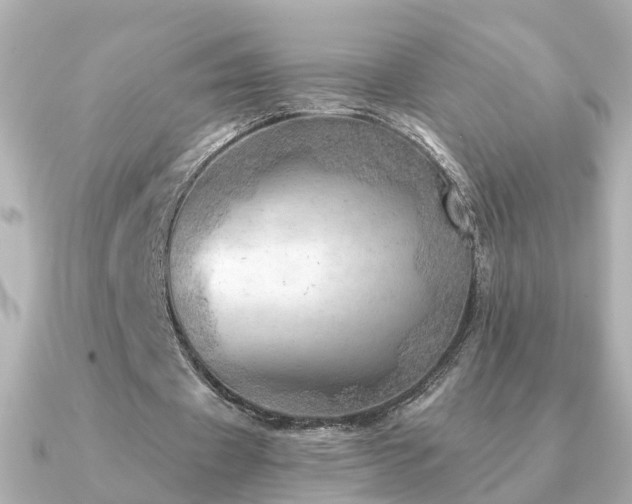 X0000091230433200708091420