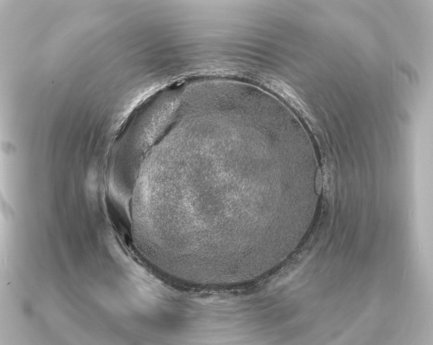X0000091230434200708091420