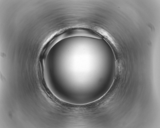 X0000091230436200708091420
