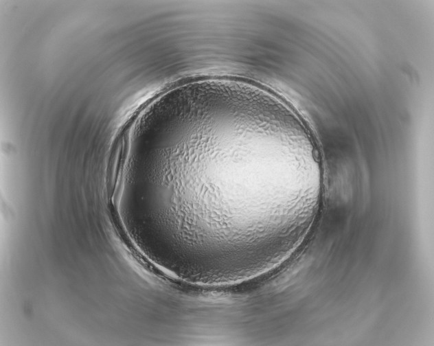 X0000091230437200708091420