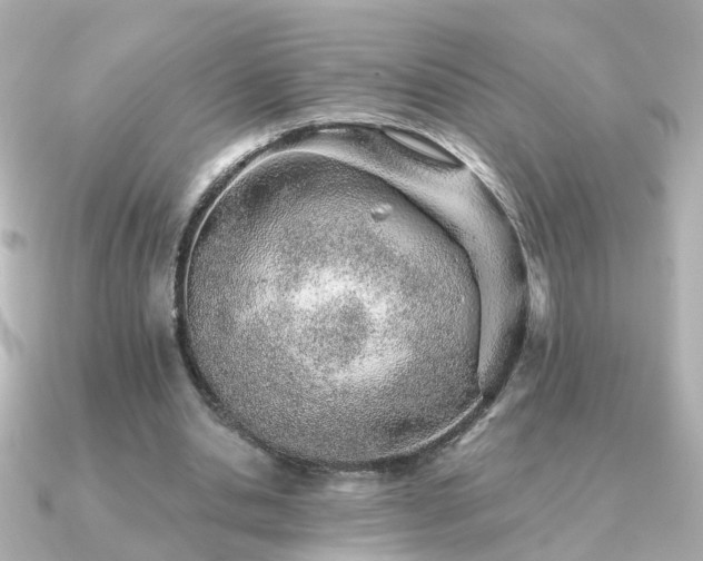 X0000091230438200708091420