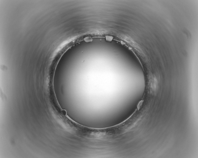 X0000091230440200708091420