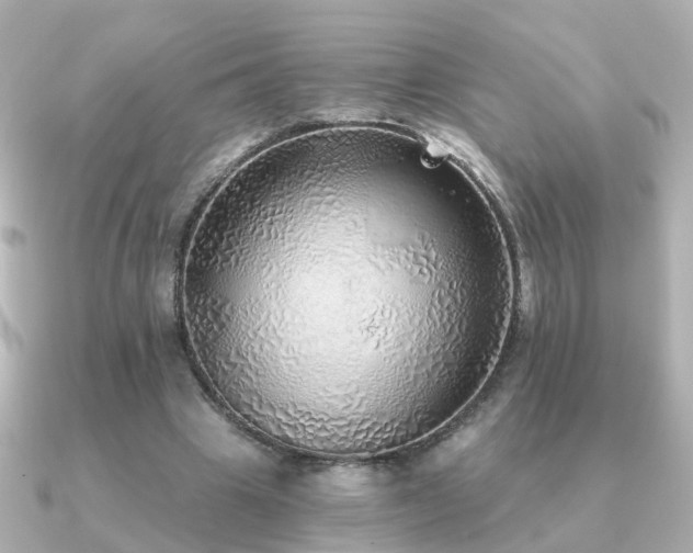 X0000091230441200708091420