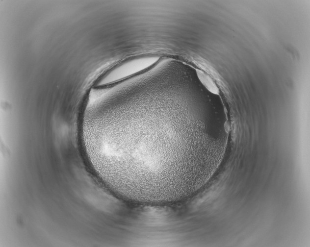 X0000091230442200708091420