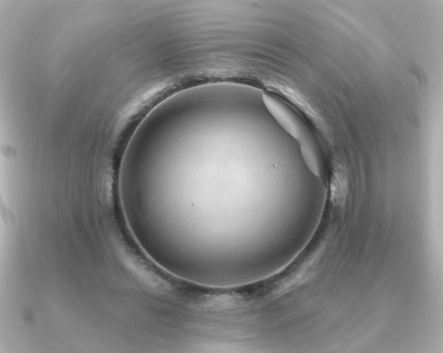 X0000091230446200708091420
