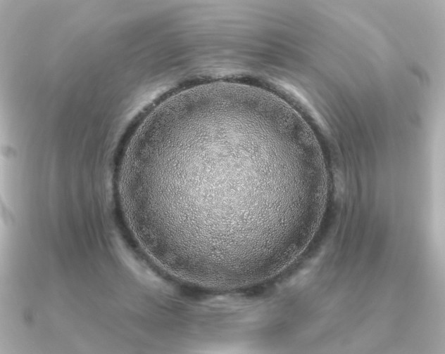 X0000091230447200708091420