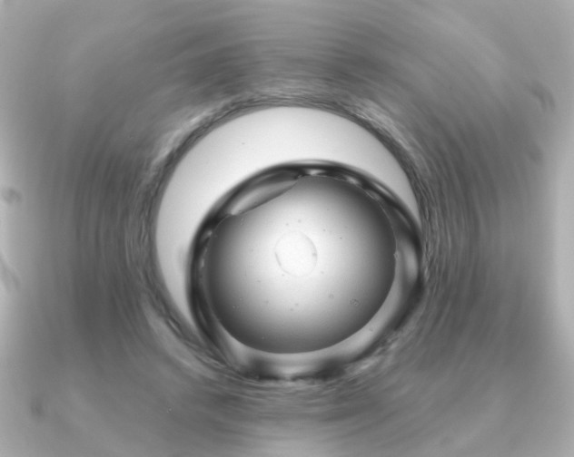 X0000091230448200708091420