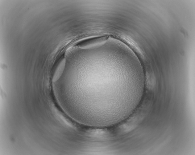 X0000091230449200708091420