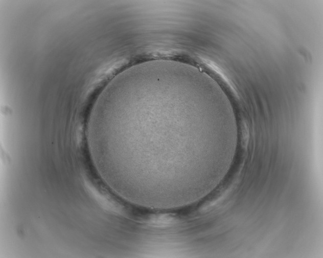 X0000091230451200708091420