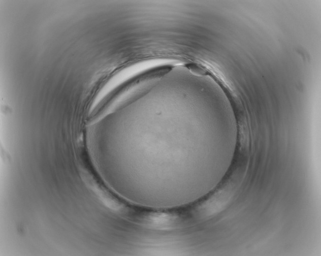 X0000091230453200708091420