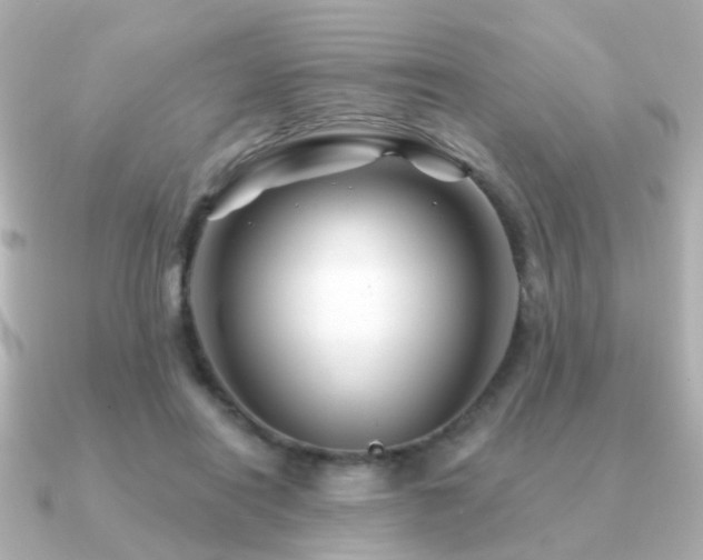 X0000091230454200708091420