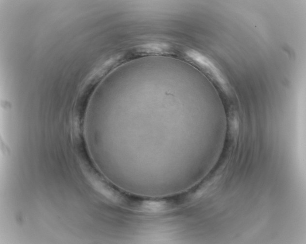 X0000091230457200708091420
