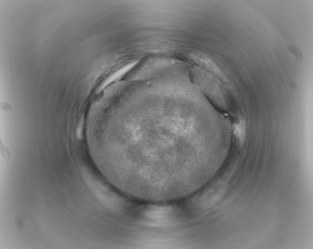 X0000091230458200708091421