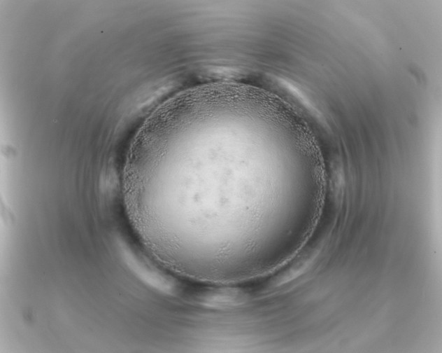 X0000091230459200708091421