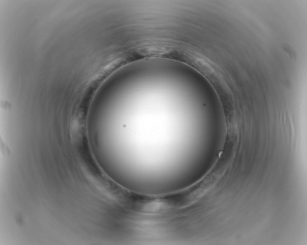 X0000091230460200708091421