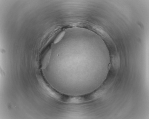 X0000091230461200708091421