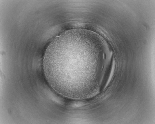 X0000091230462200708091421