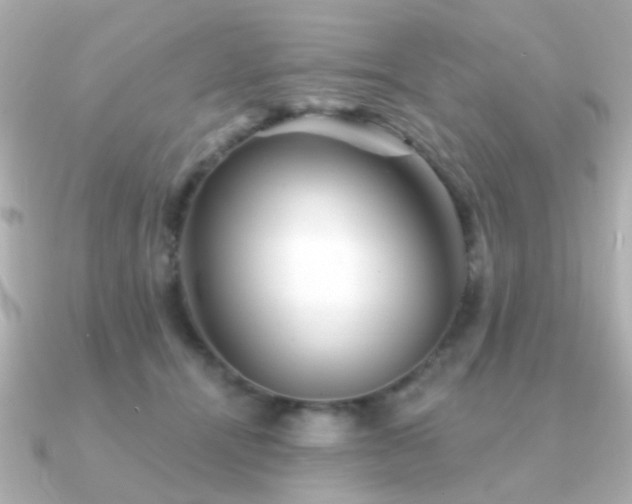 X0000091230464200708091421