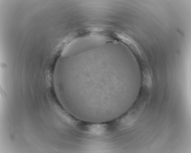X0000091230465200708091421