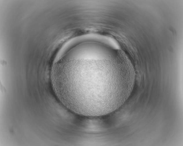 X0000091230466200708091421