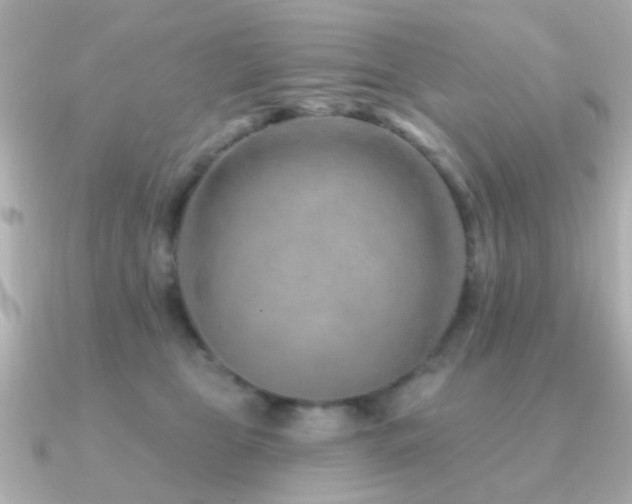 X0000091230469200708091421