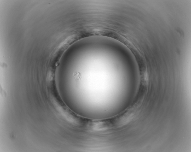 X0000091230472200708091421