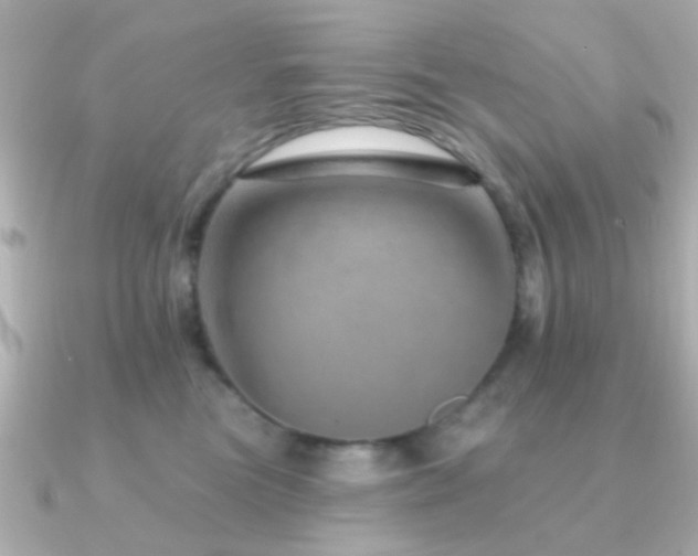 X0000091230473200708091421