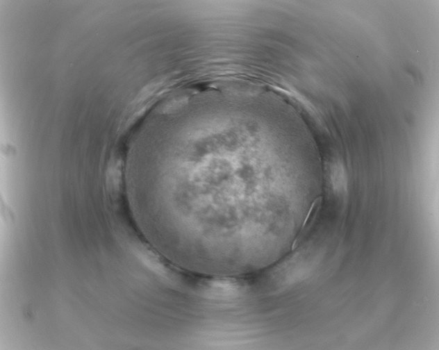 X0000091230475200708091421