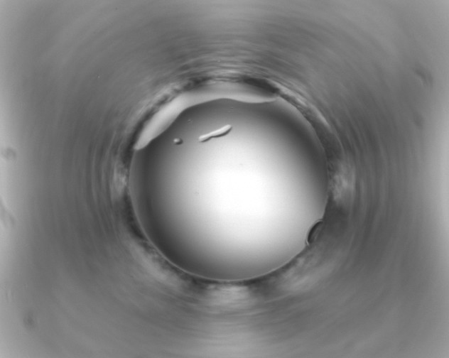 X0000091230476200708091421
