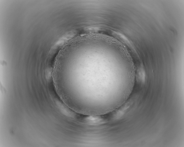 X0000091230477200708091421