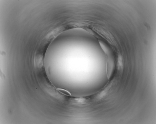 X0000091230478200708091421