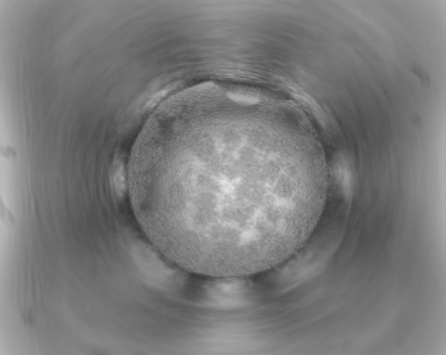 X0000091230479200708091421