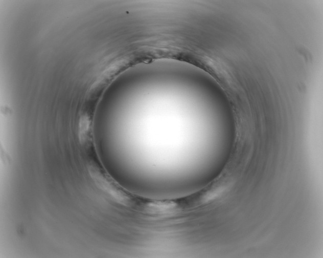X0000091230480200708091421