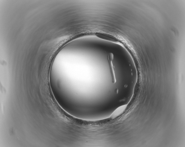 X0000091230481200708091420