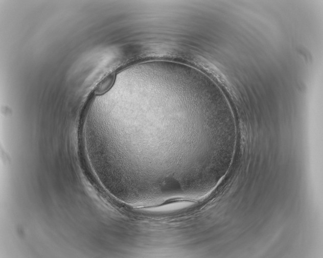X0000091230482200708091420