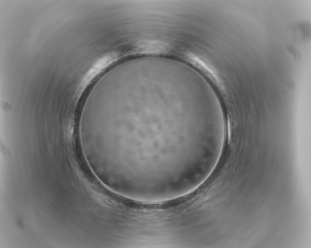 X0000091230483200708091420