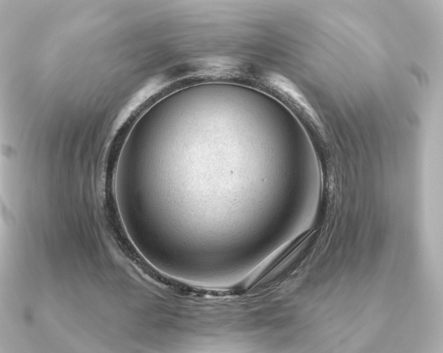 X0000091230484200708091420