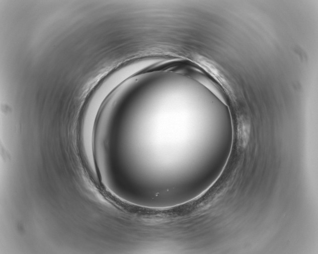 X0000091230485200708091420