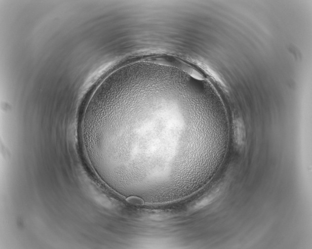 X0000091230486200708091420