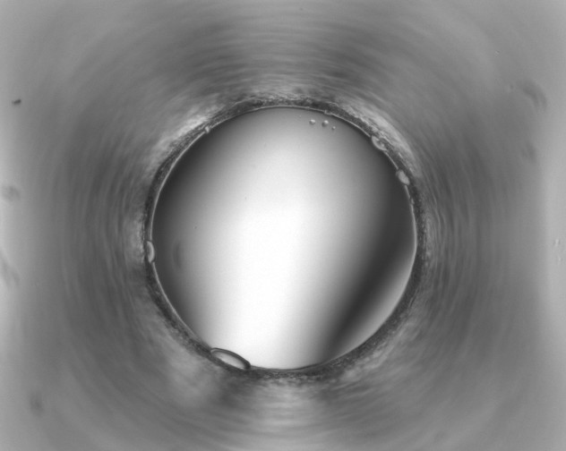 X0000091230489200708091420