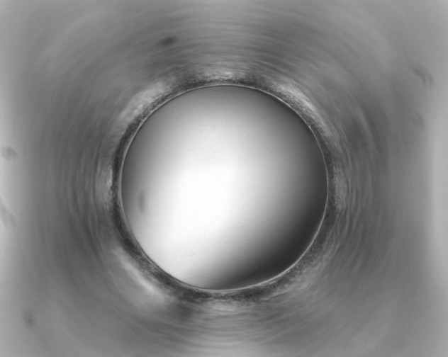 X0000091230490200708091420