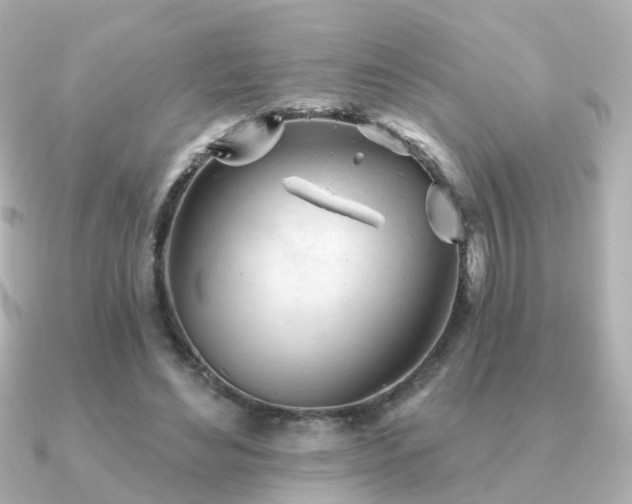 X0000091230492200708091420