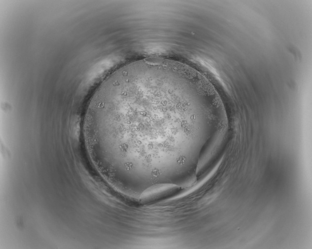 X0000091230495200708091420