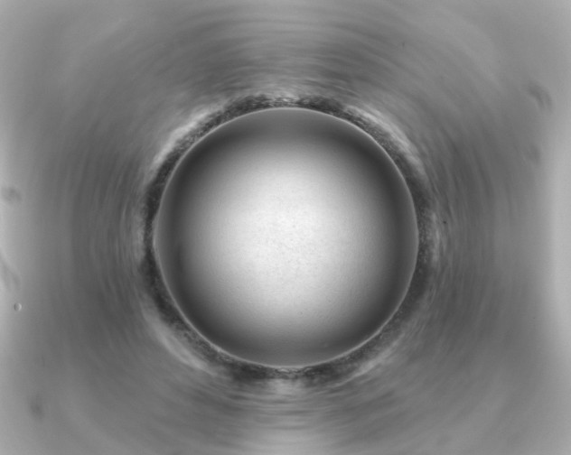 X0000091230496200708091420