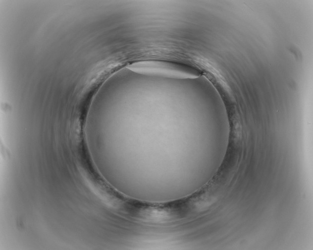 X0000091230498200708091420