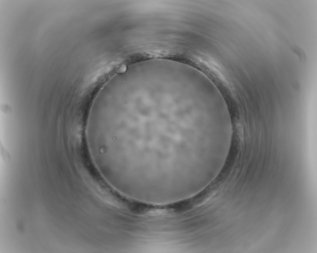 X0000091230499200708091420
