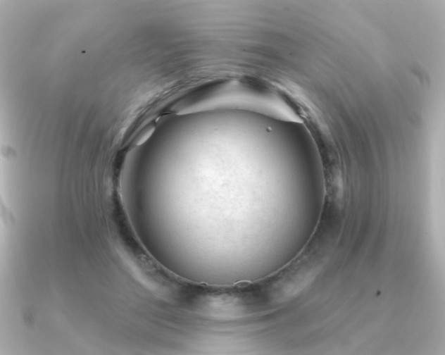 X0000091230500200708091420