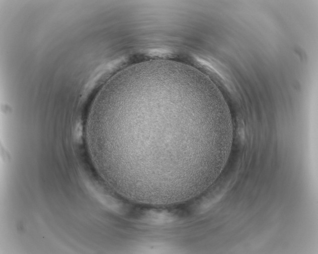 X0000091230502200708091420